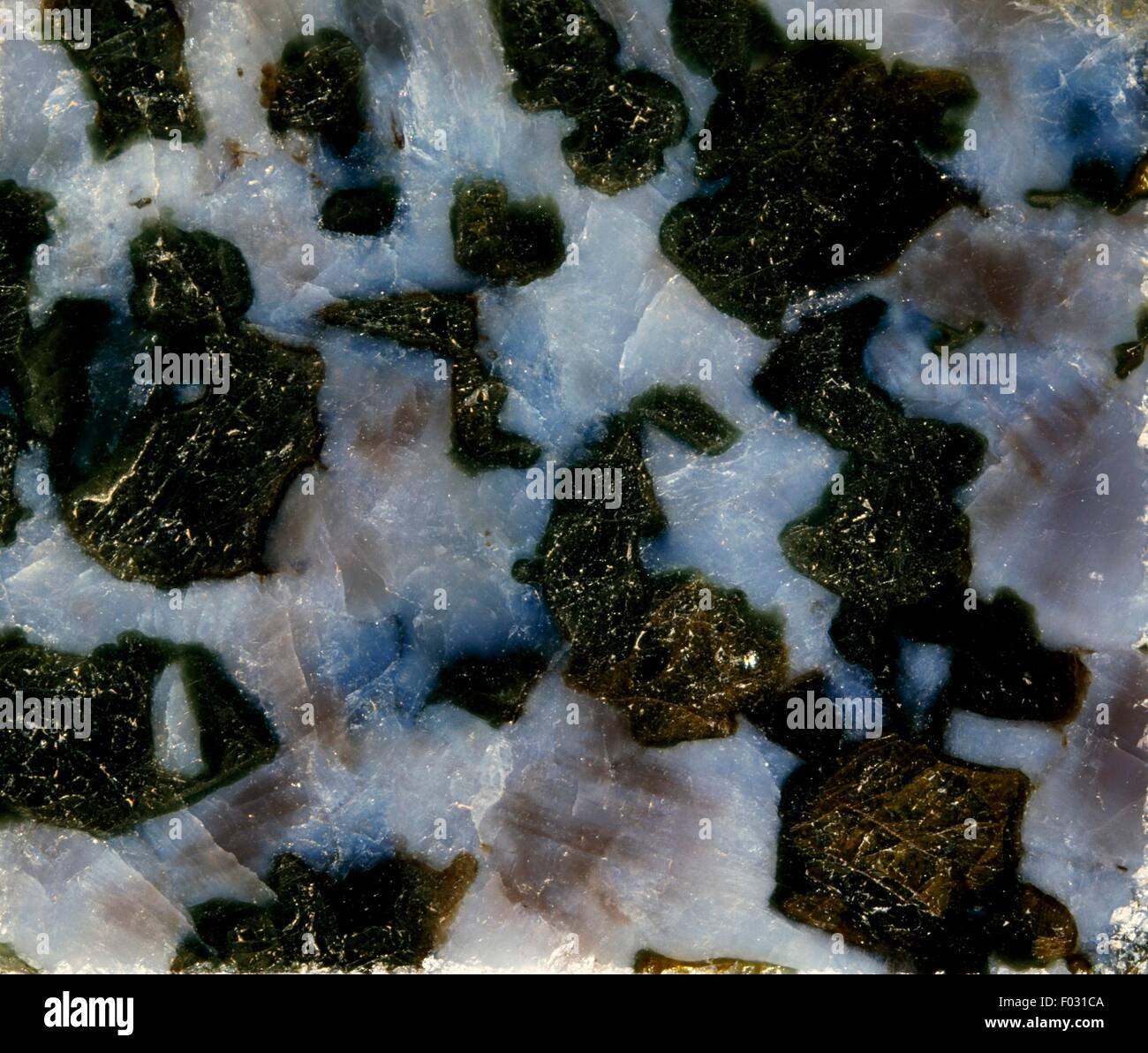 Gabbro, intrusive holocrystalline rock, from Madagascar. Stock Photo