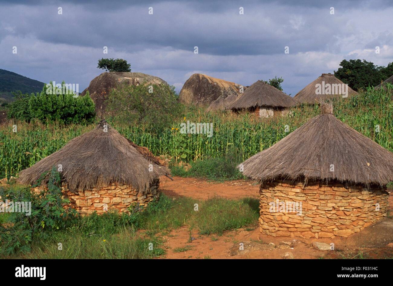 Zimbabwe tree house hires stock photography and images Alamy