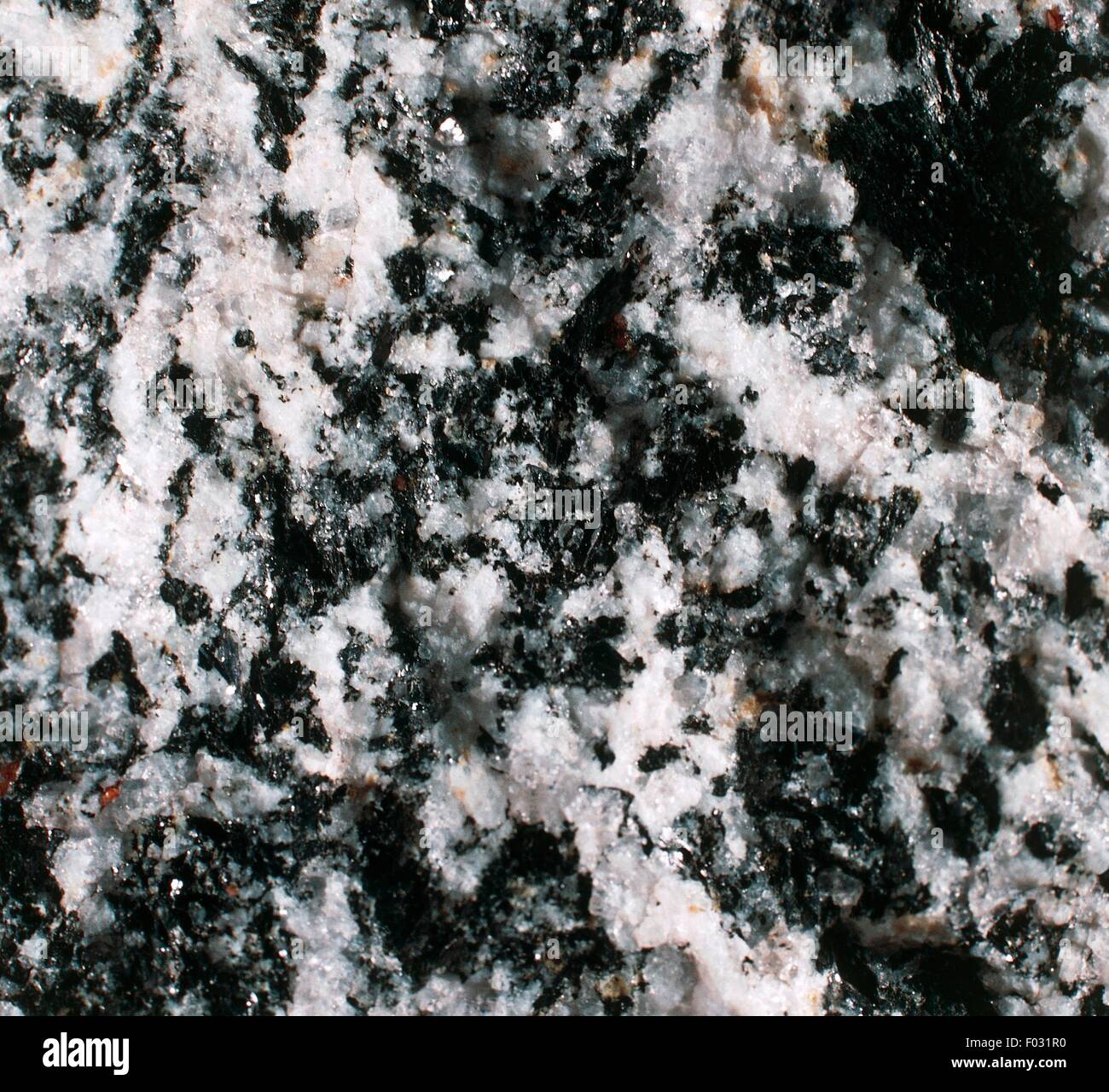 Tonalite, holocrystalline magmatic rock, from Sondrio, Lombardy, Italy. Stock Photo