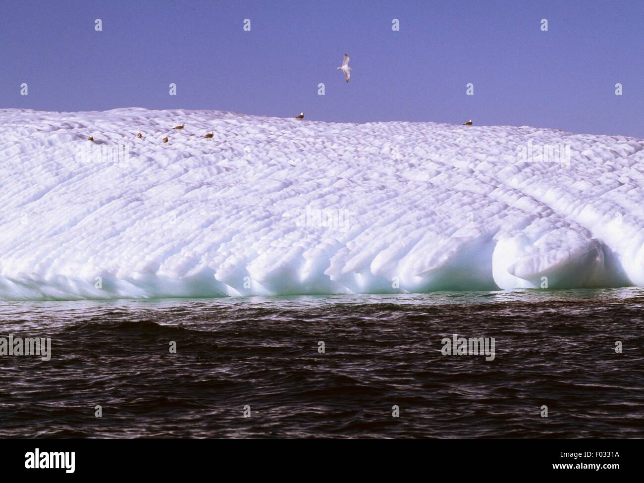 Iceberg, Newman's Cove, Bonavista Bay District, Newfoundland, Cabada