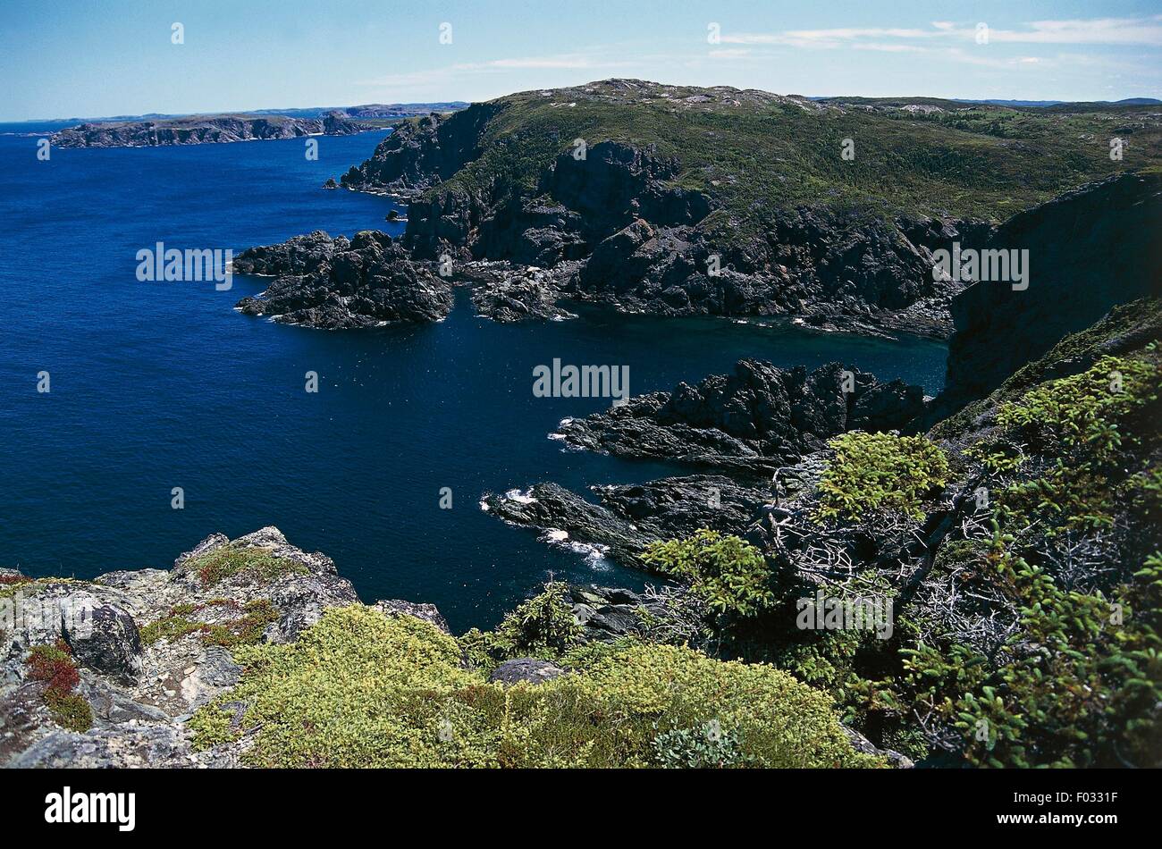 The coastline near Long Pointe Lighthouse, North Twillingate Island, Newfoundland, Canada. Stock Photo