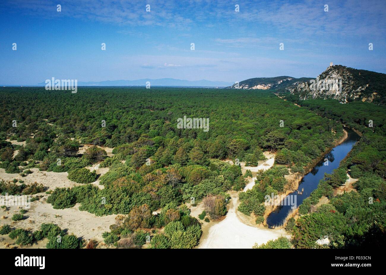 The Grand Ducal pine forest and in the distance, Castel Marino tower