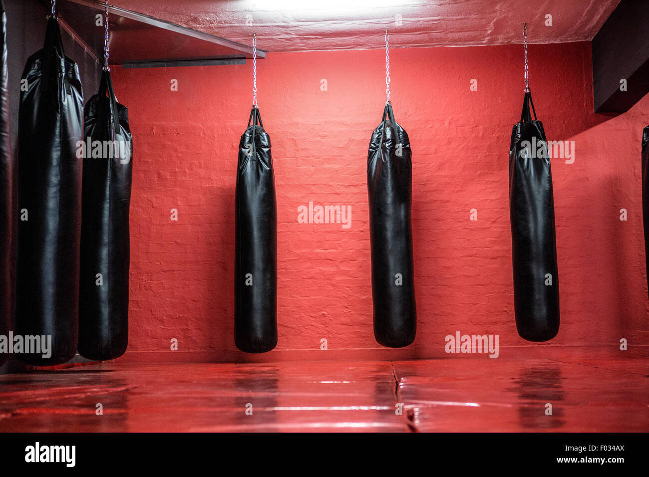 Punching bags in red boxing area Stock Photo Alamy