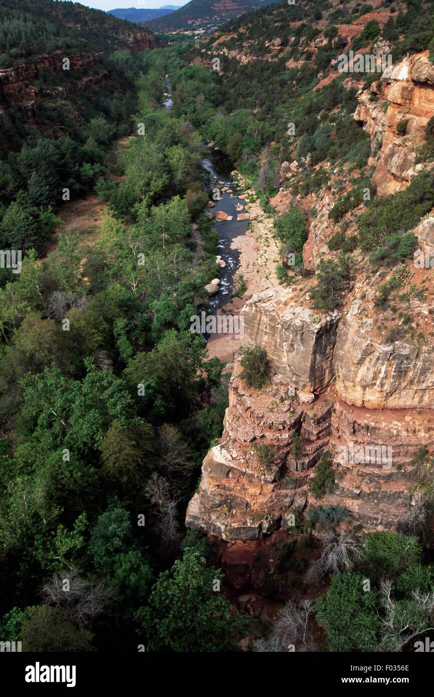 Oak Creek, Oak Creek Canyon, near Sedona, Arizona, United States of