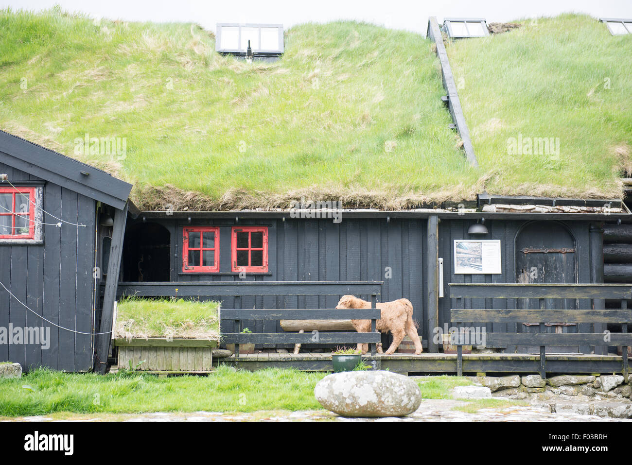 Kirkjubøargarður a very old wooden house on the Faroe Islands Stock Photo -  Alamy