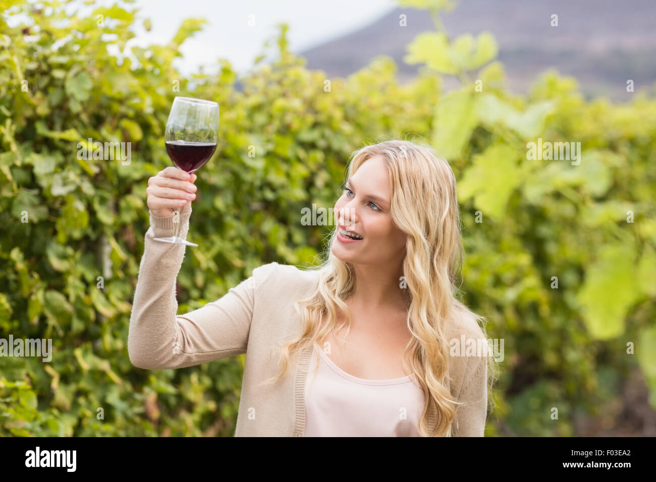 Young happy woman holding a glass of wine Stock Photo - Alamy