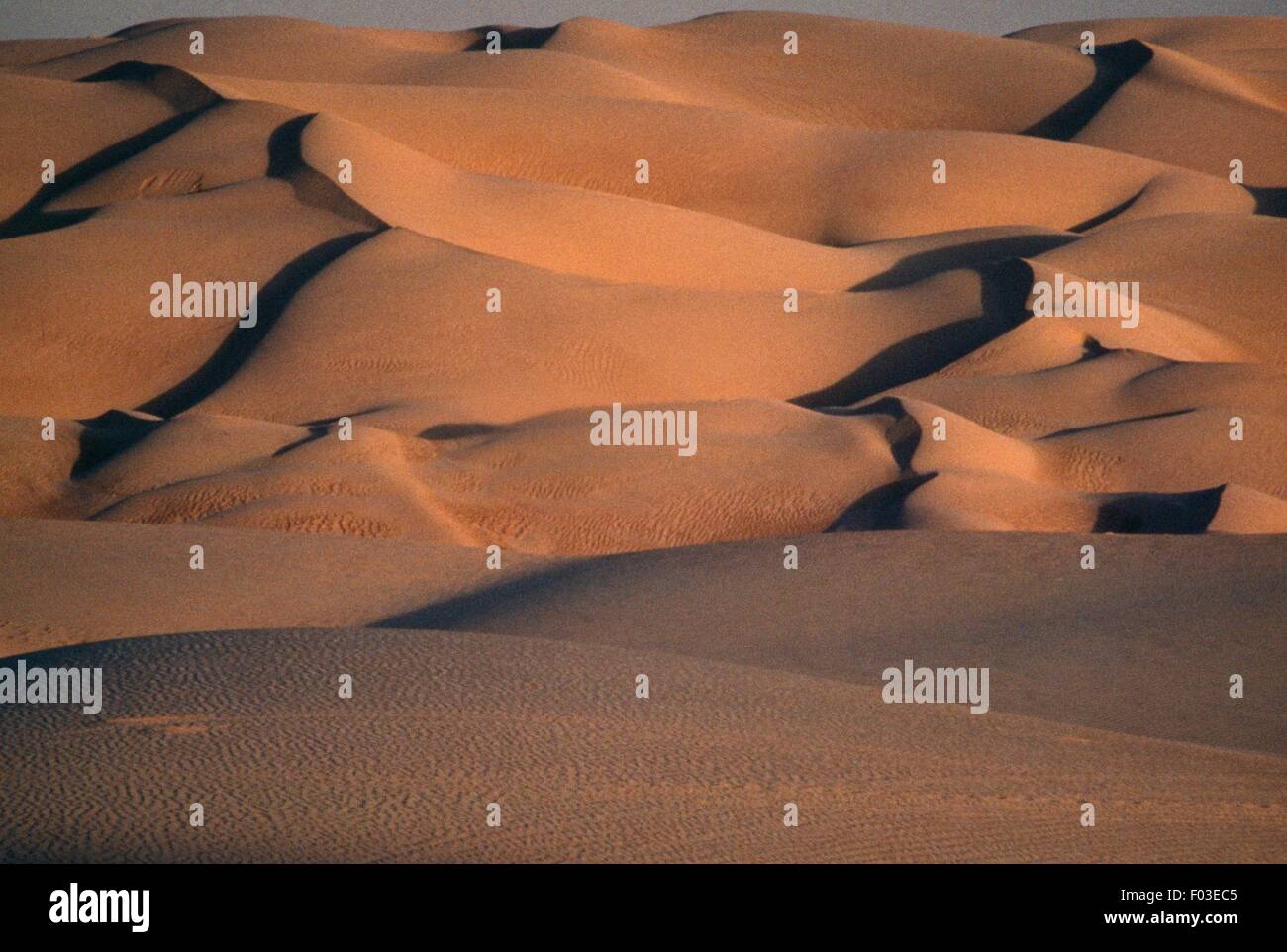 Sand dunes, Algodones Dunes (Glamis Dunes) California, United States of
