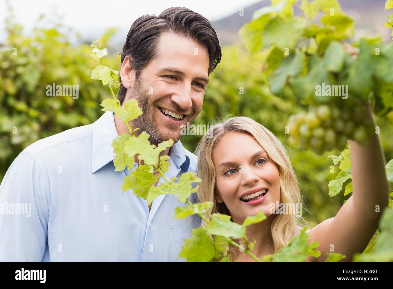 Young happy couple looking at grapes Stock Photo