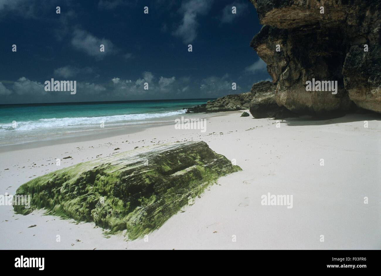 Barbados, St. Philip Parish, Ginger Bay, beach Stock Photo Alamy