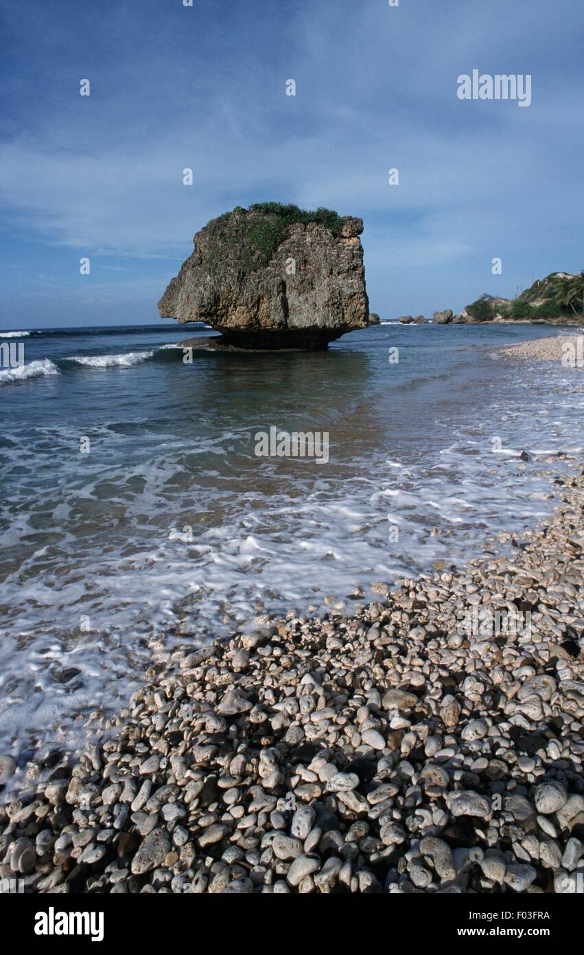 Barbados, St. Joseph Parish, Bathsheba beach Stock Photo Alamy