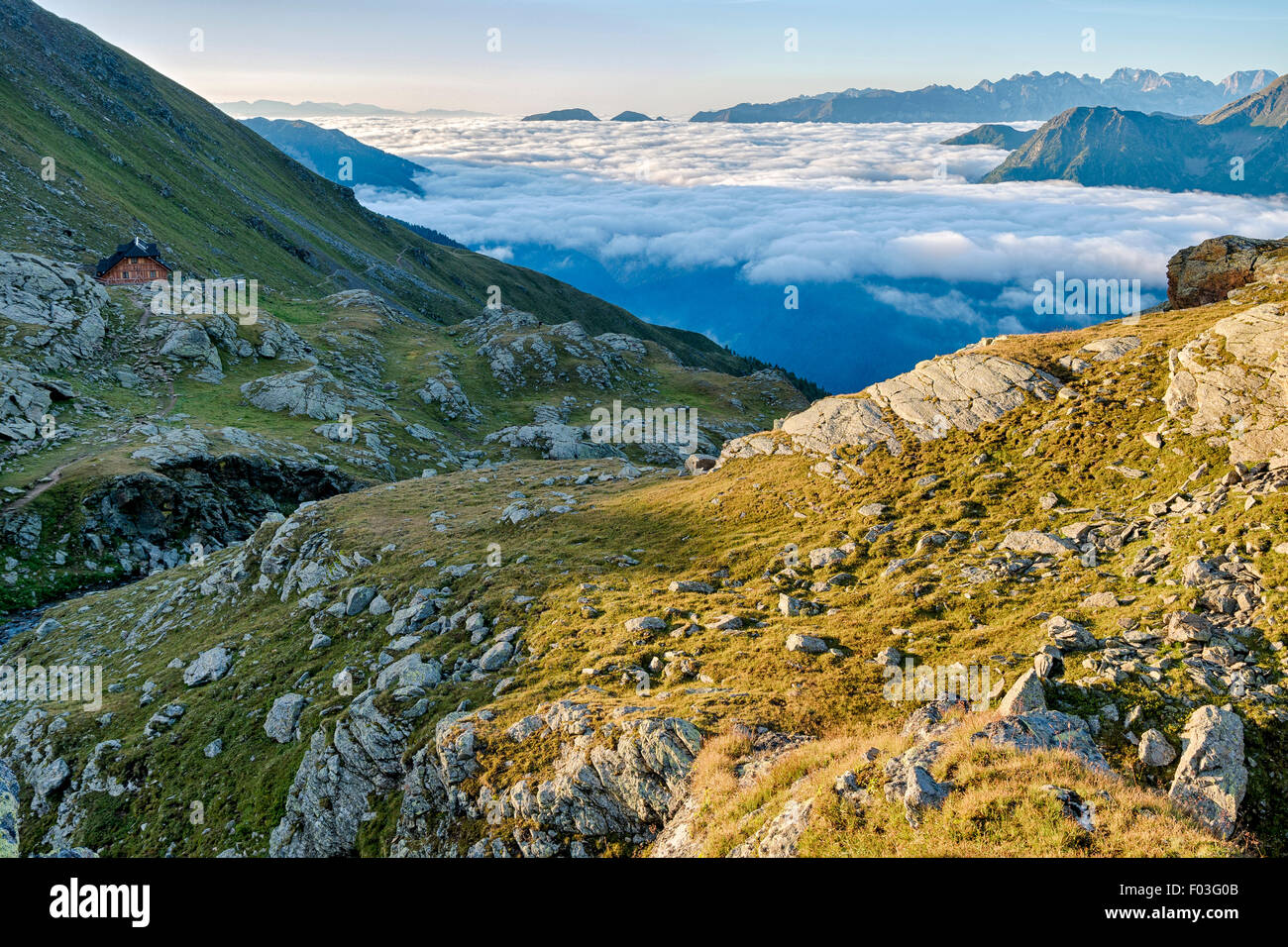 Italy, Trentino, Stelvio National Park,  Lago Corvo Valley from Lago Corvo Hut  ,  on the left -2425 m Stock Photo