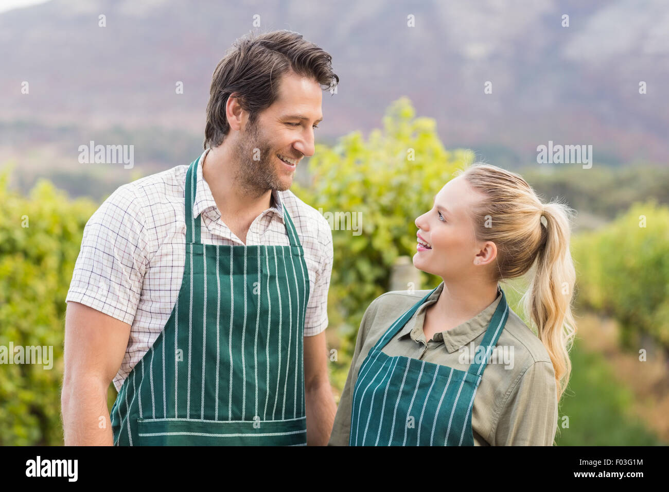 Two young happy vintners looking at each other Stock Photo