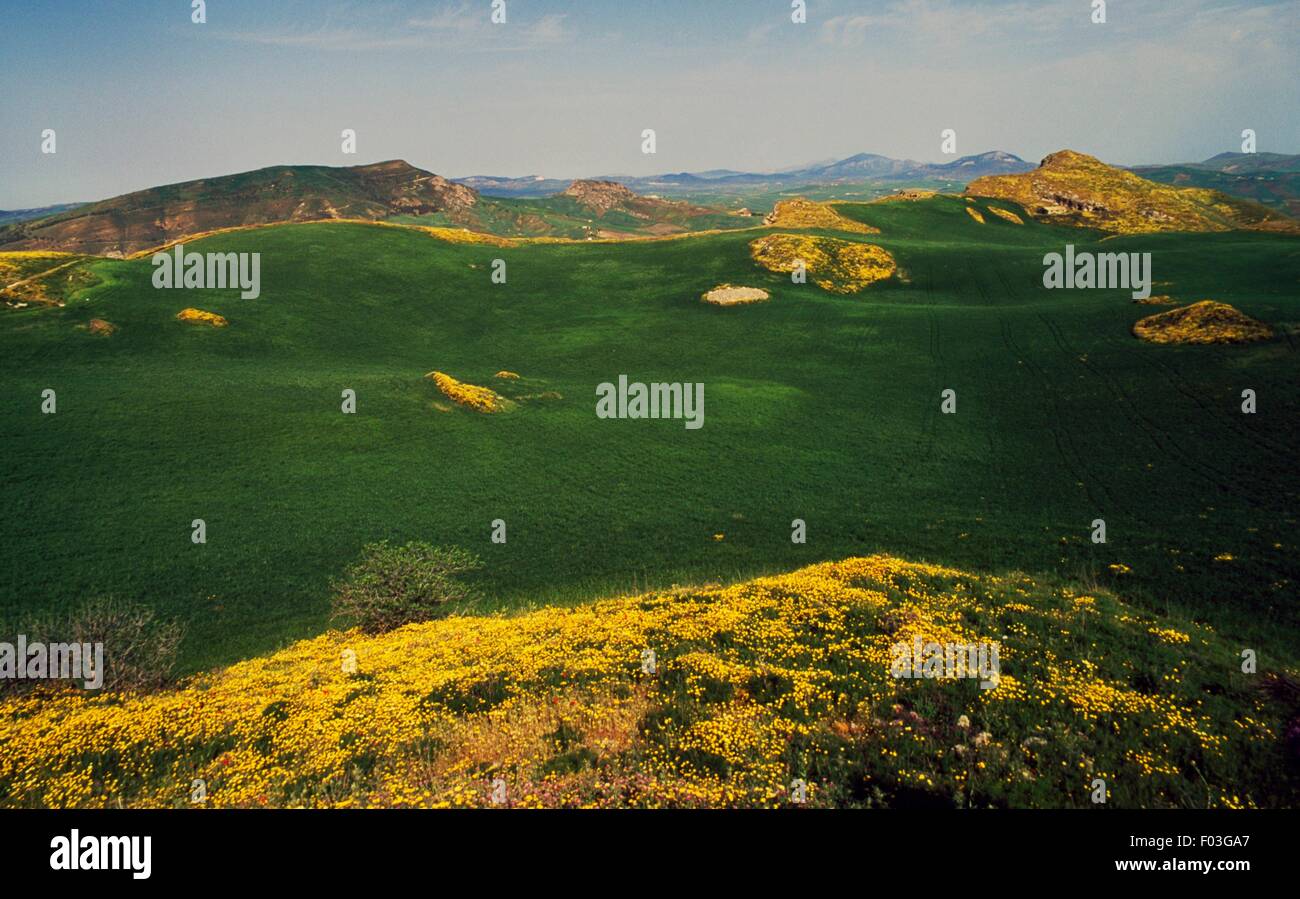 Summit plateau of the Rocca di Entella, Integral Nature Reserve Grotta
