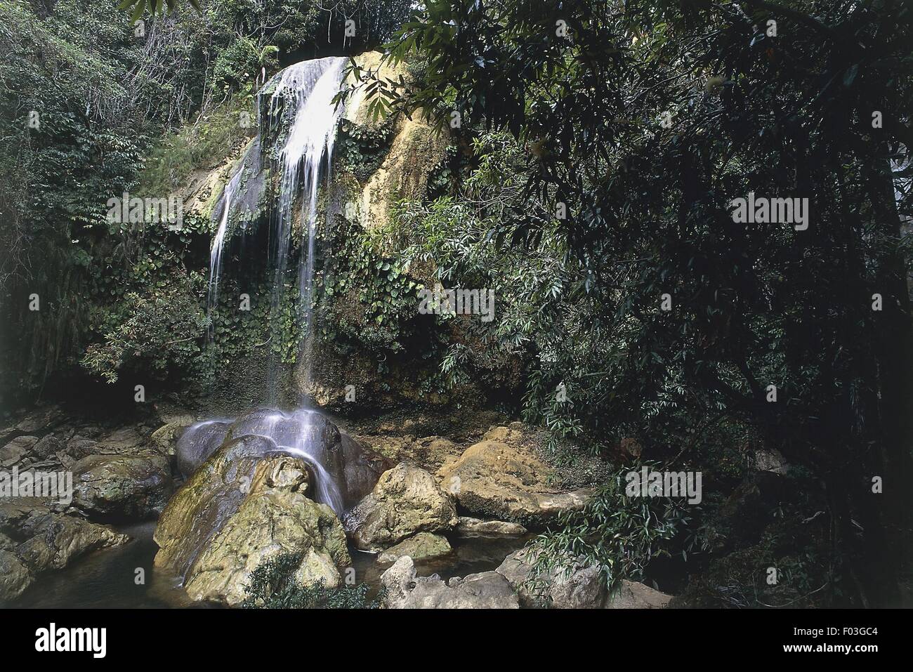 Cuba - Sierra del Rosario (Biosphere Reserve). Soroa, Rio Arroyo waterfall Stock Photo