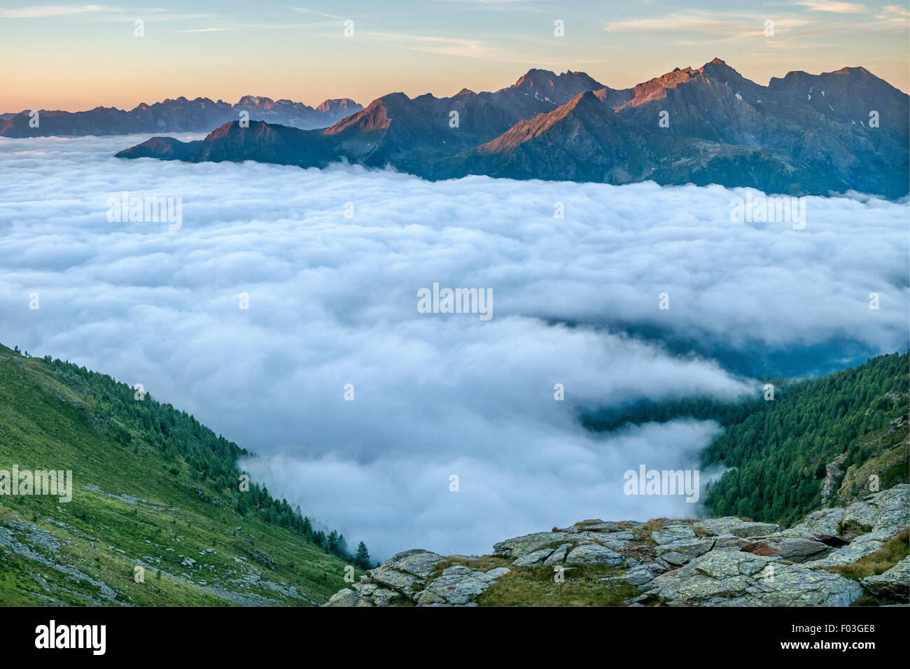 Italy, Trentino, Stelvio National Park,  Lago Corvo Valley from Lago Corvo Hut  , 2425 m Stock Photo