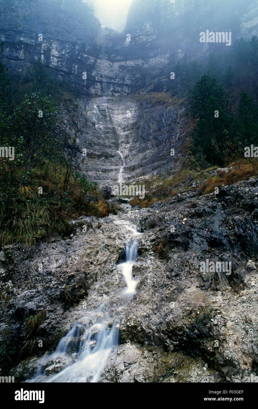 Stream, Monti del Sole, Belluno Dolomites National Park (UNESCO World Heritage List, 2009), Veneto, Italy. Stock Photo