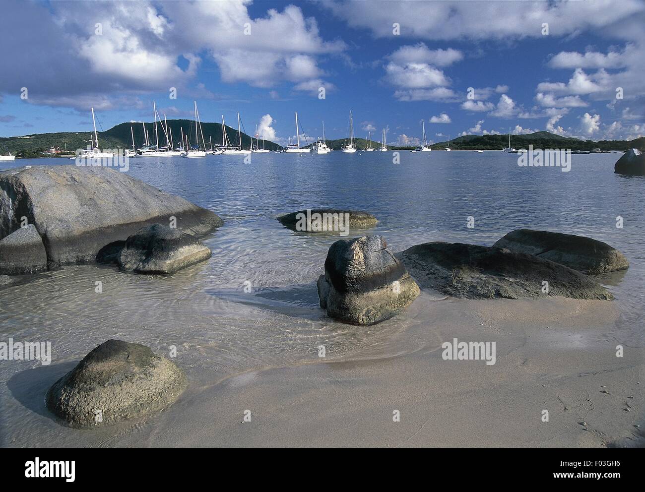 British Virgin Islands Tortola Island, Beef Island Peninsula, Trellis