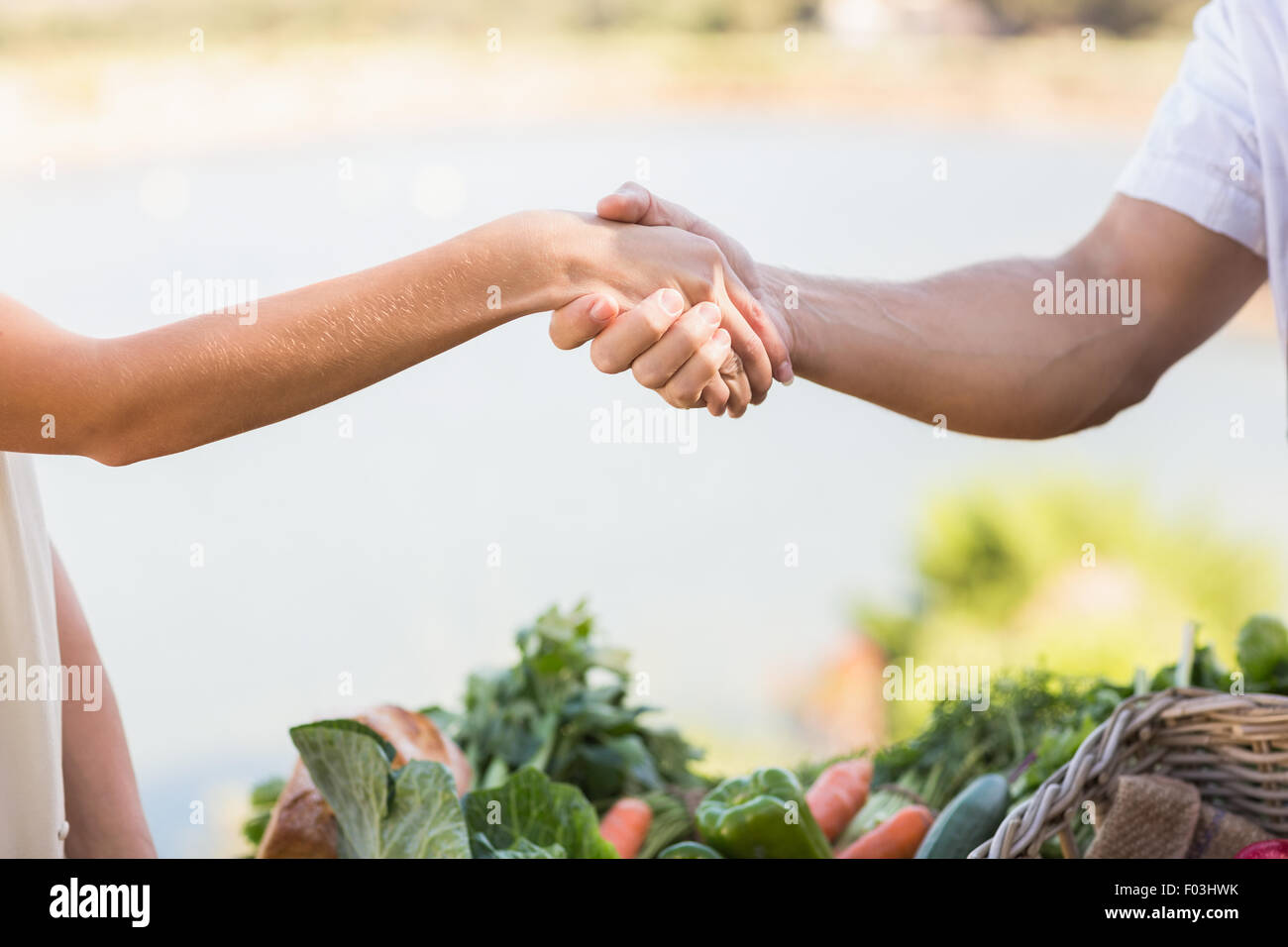 Farmer and customer shaking hands Stock Photo