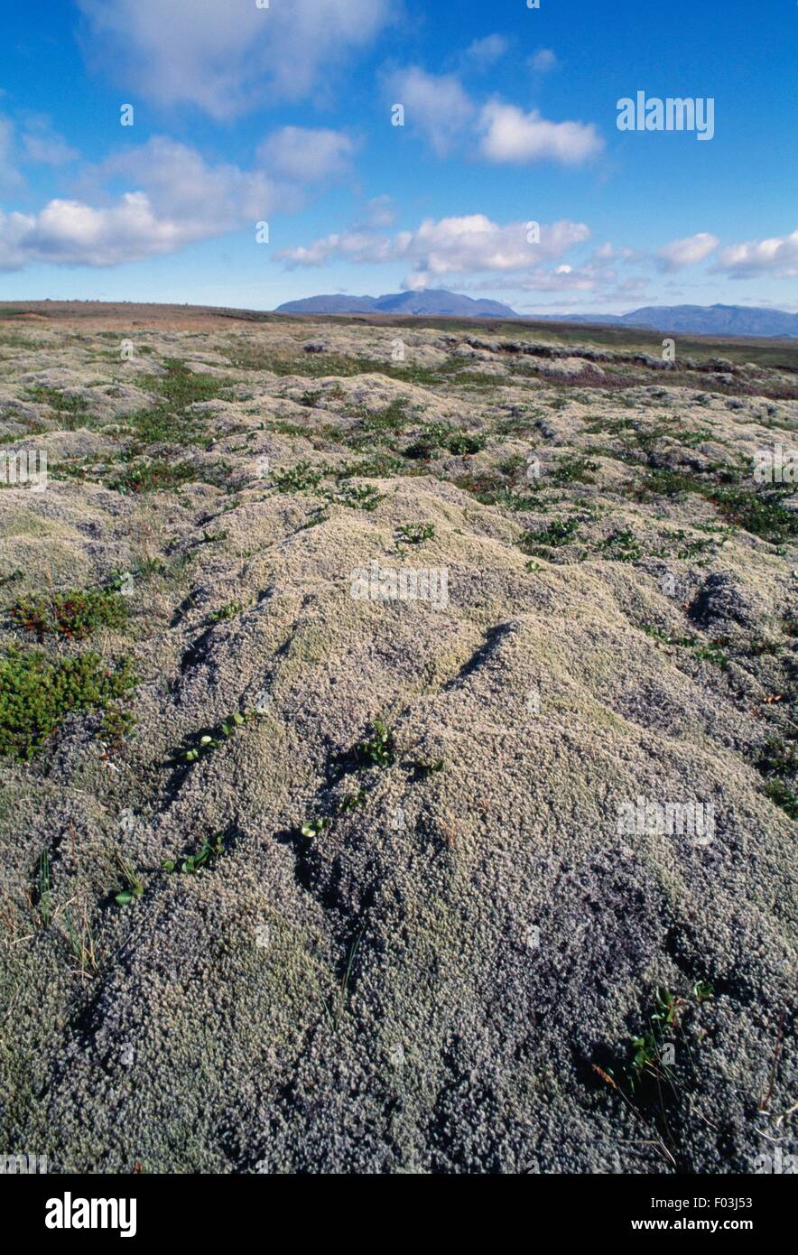 Among rocks hi-res stock photography and images - Alamy