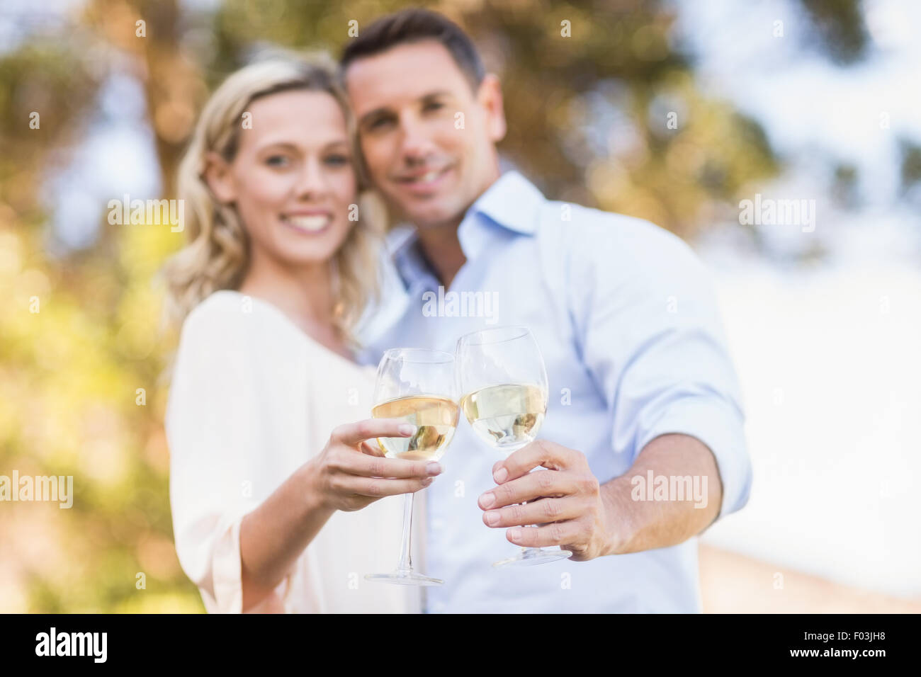 Portrait of smiling couple embracing and toasting with wineglass Stock Photo