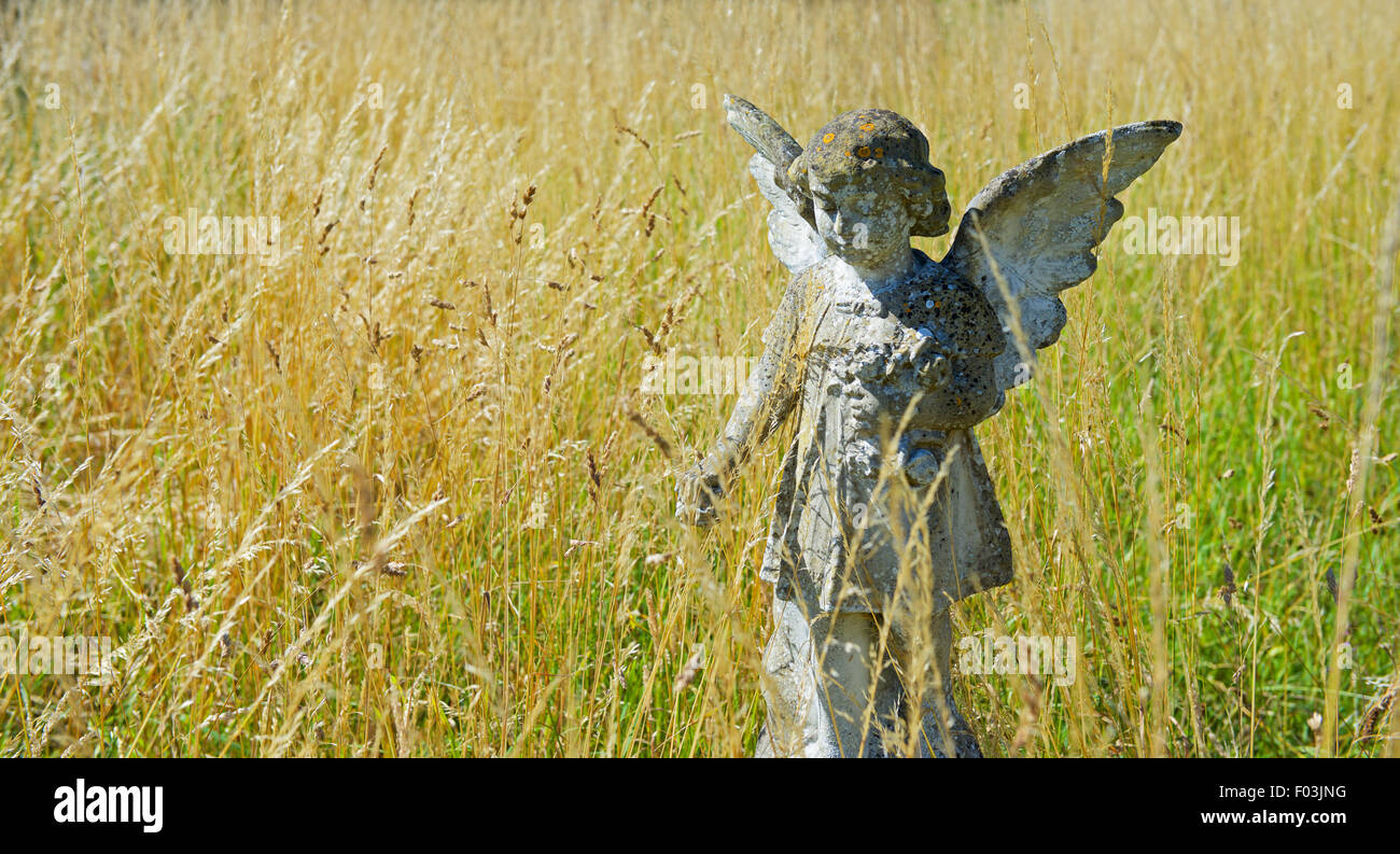 Angel gravestone in long grass, St Catherine's Church, Montacute, Somerset, England UK Stock Photo