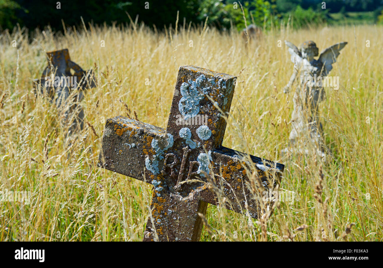 Gravestones in long grass, St Catherine's Church, Montacute, Somerset, England UK Stock Photo