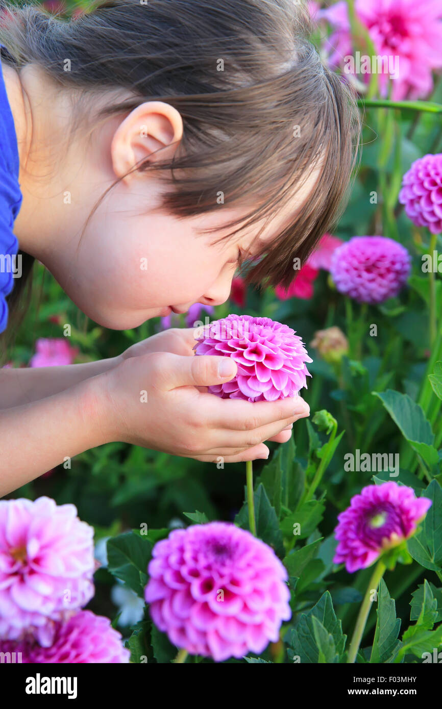 Little girl enjoy with the flowers Stock Photo Alamy