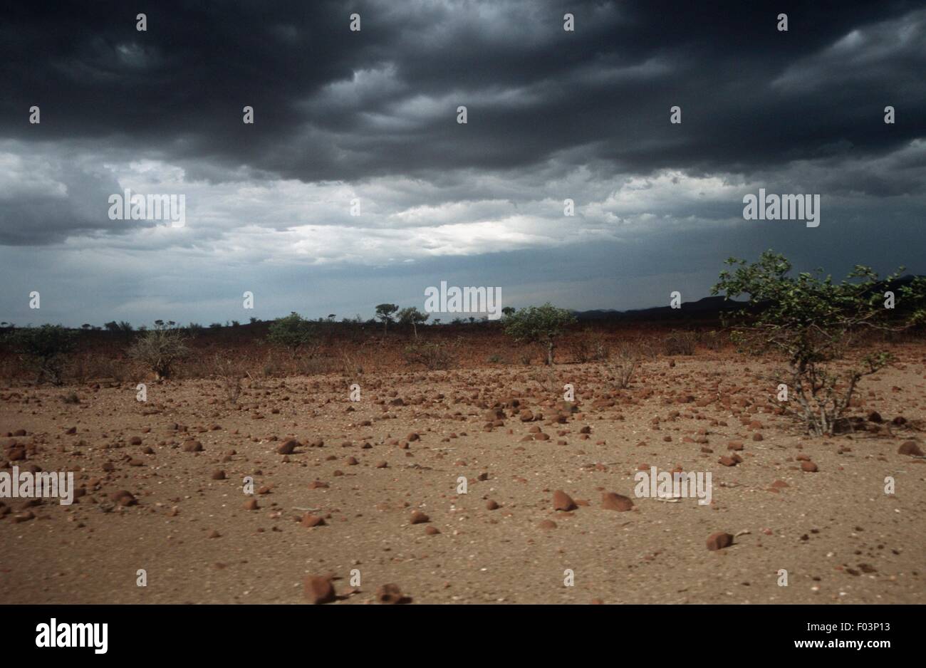 Namibia, Damaraland Wilderness Area, storm clouds over desert Stock Photo