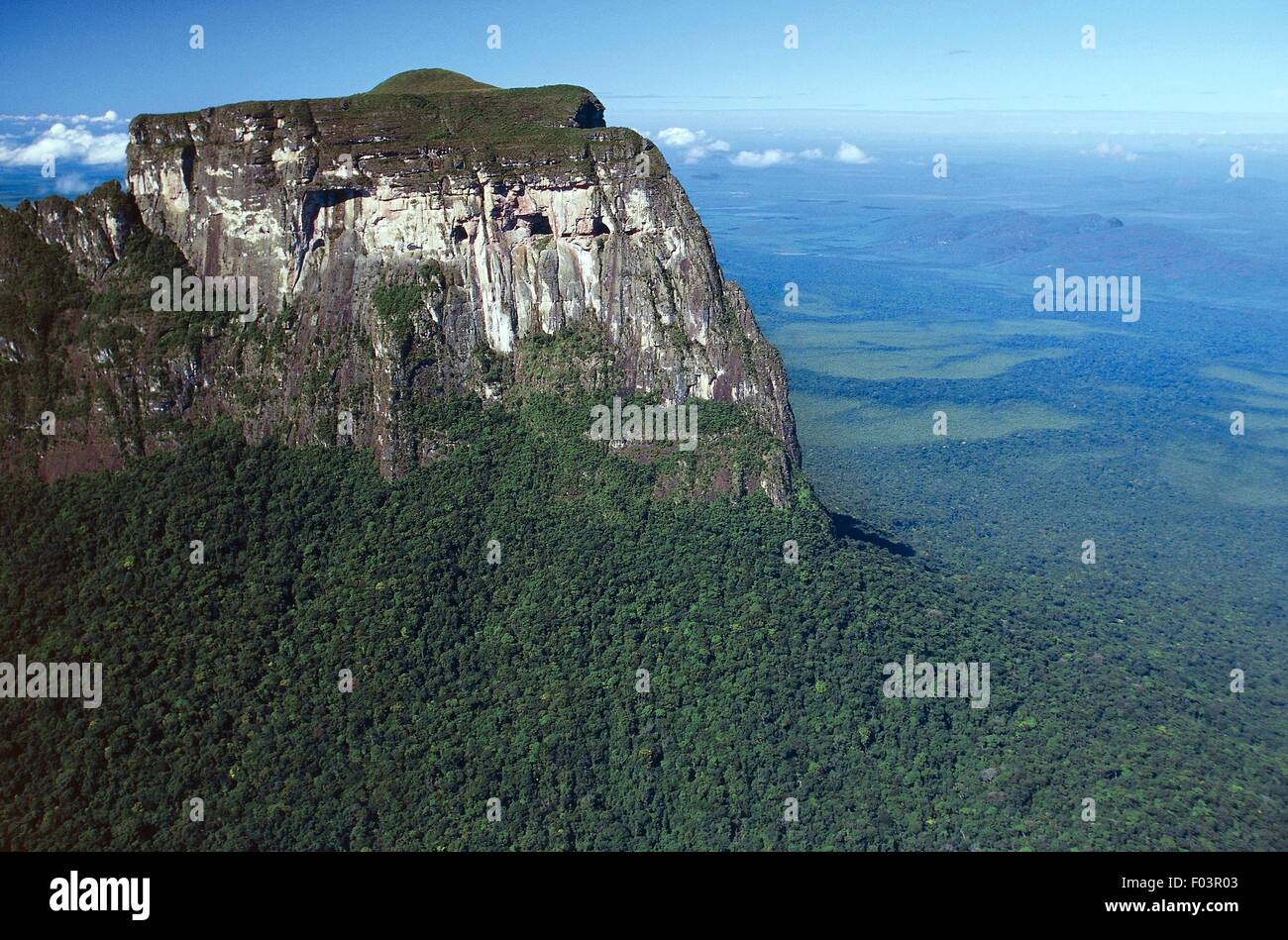 Venezuela - Guayana - Amazonas - Cerro Autana (1208 meters), the sacred mountains of the Piaroa Indians, declared natural monument in 1978. Stock Photo