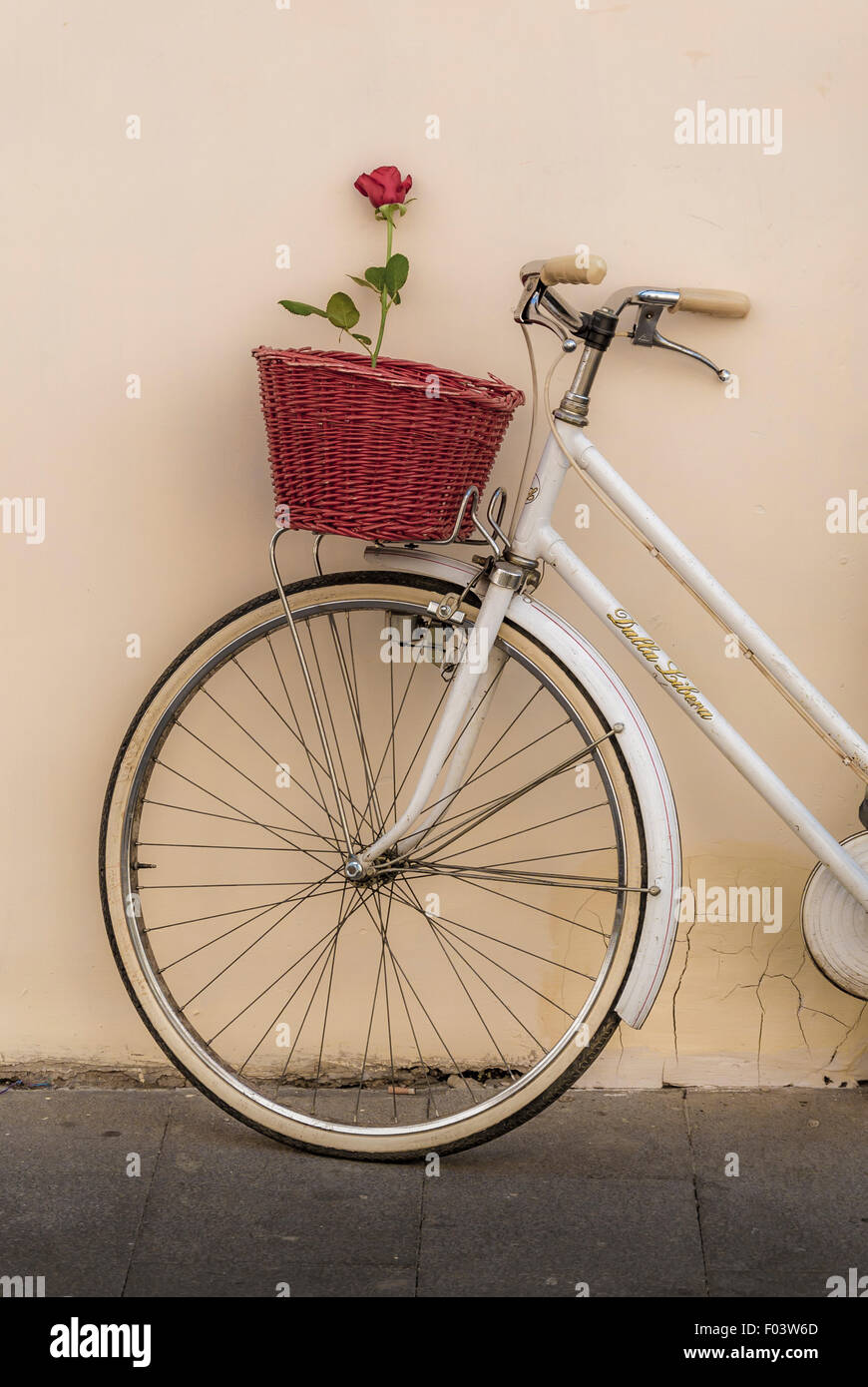 White bicycle parked against a  render wall with a red rose in its basket. Stock Photo
