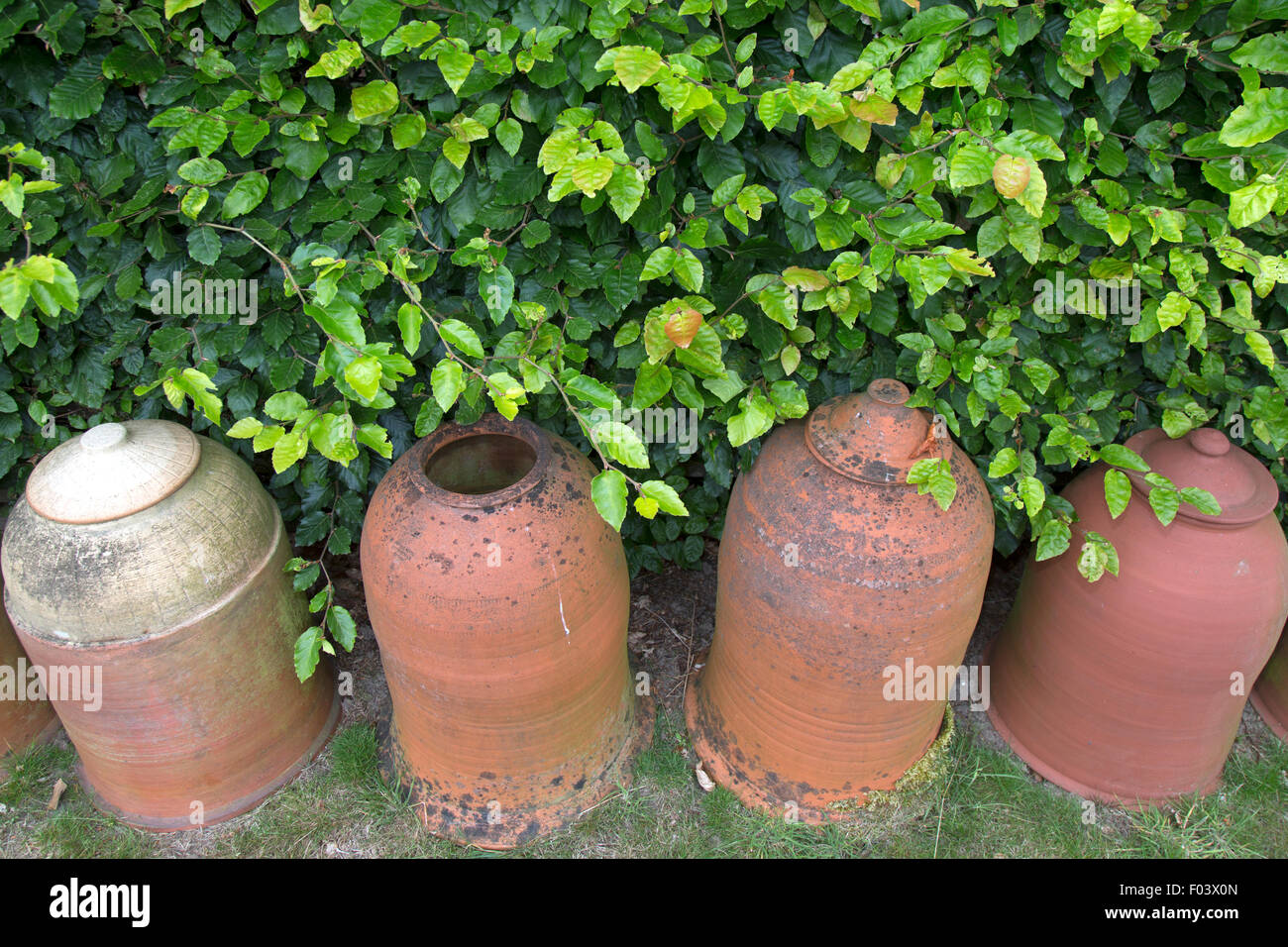 Rhubarb forcing pots Stock Photo Alamy