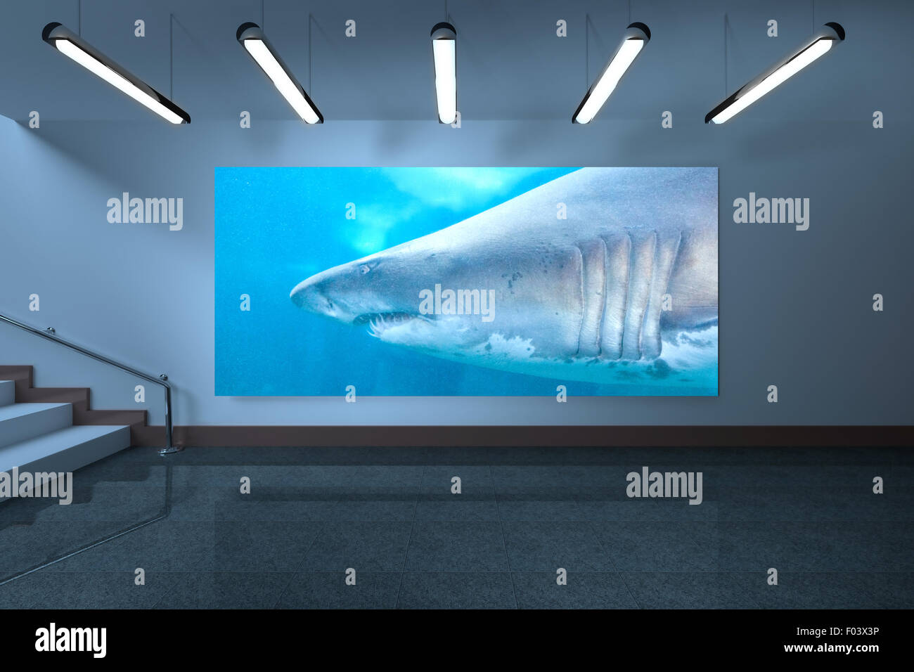 Display room hi-res stock photography and images - Alamy