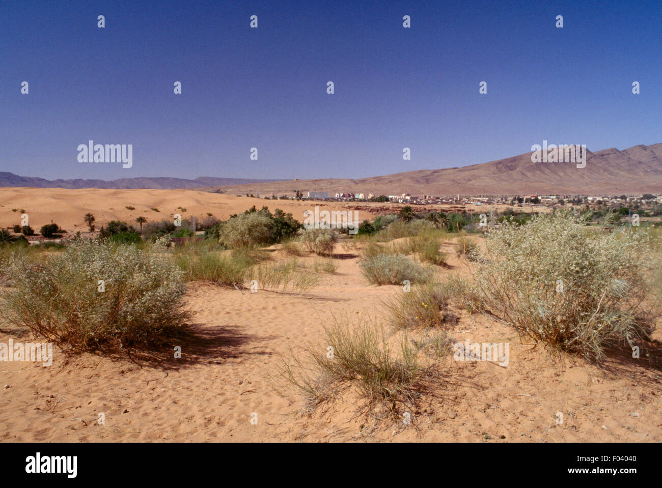 Desert landscape, Ain Sefra, Sahara Desert, Algeria. Stock Photo