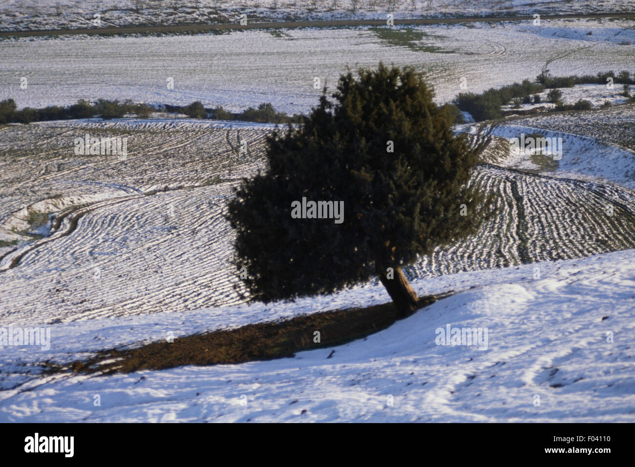 Tell Atlas High Resolution Stock Photography and Images Alamy