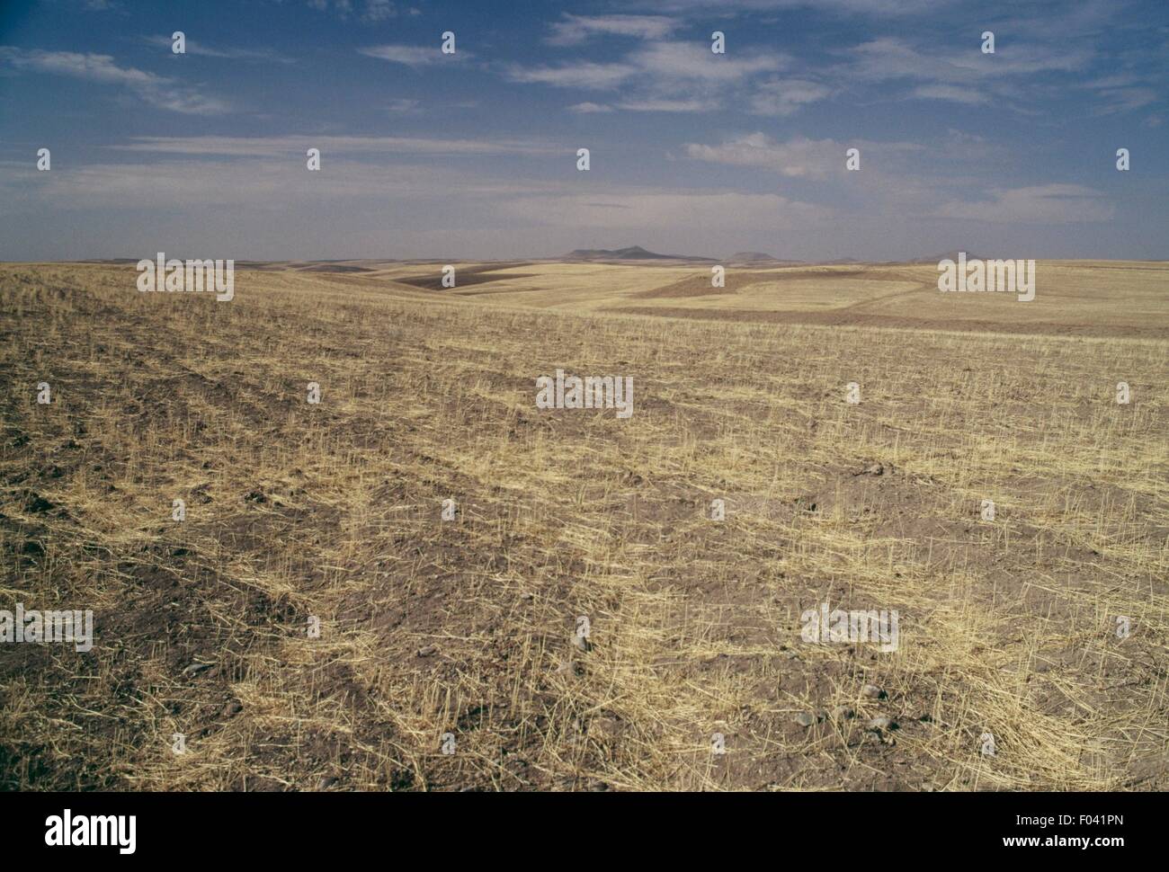 Agricultural landscape, Kurdistan Province, Iran. Stock Photo