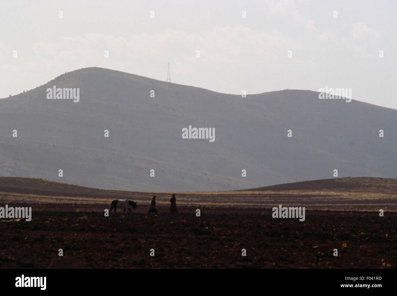 Landscape near Dezful, Khuzestan Province, Iran Stock Photo - Alamy