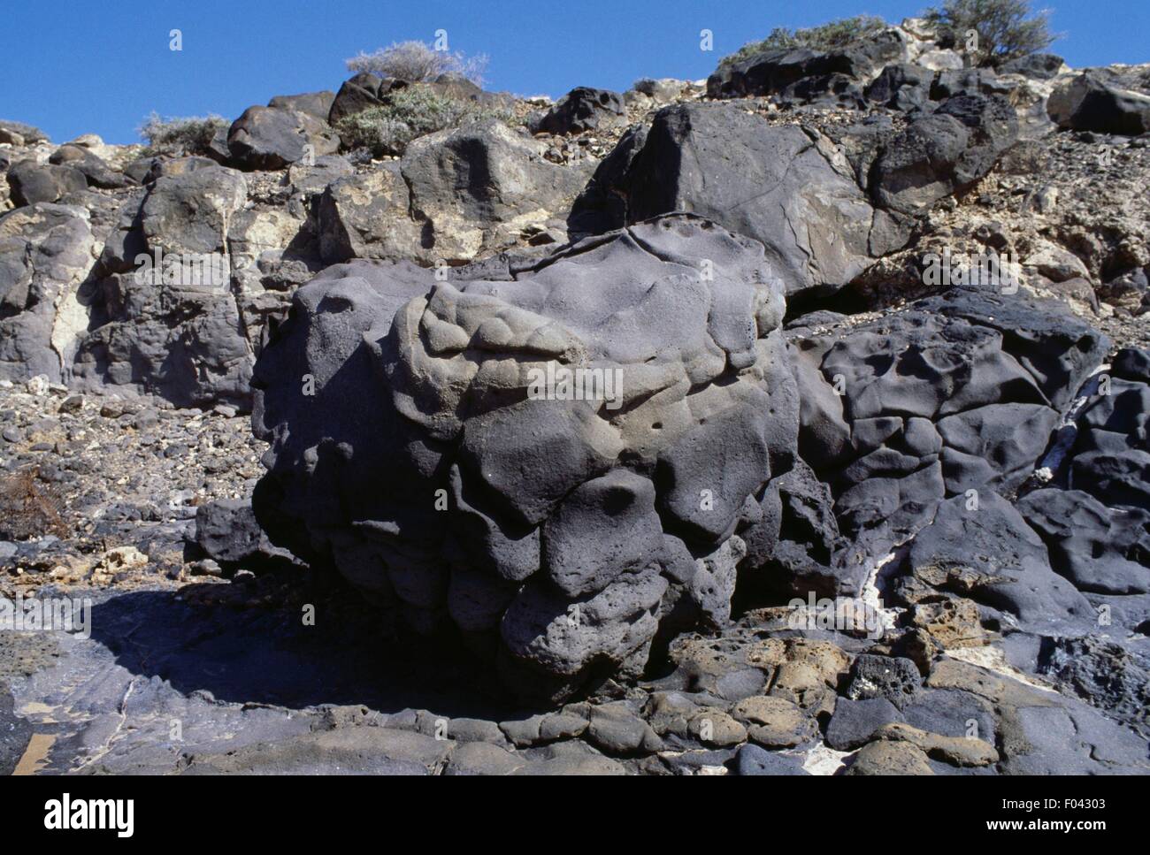 Black volcanic rocks along the Red Sea coast, Djibouti Stock Photo - Alamy