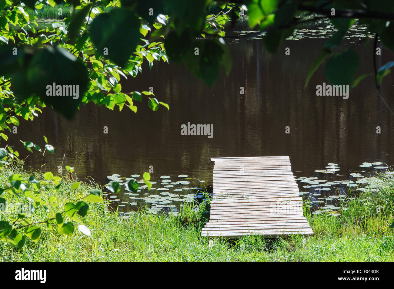 empty wooden dais on the shore of lake forest. Stock Photo