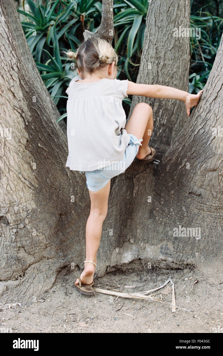 A young blond haired girl climbing a tree. Stock Photo
