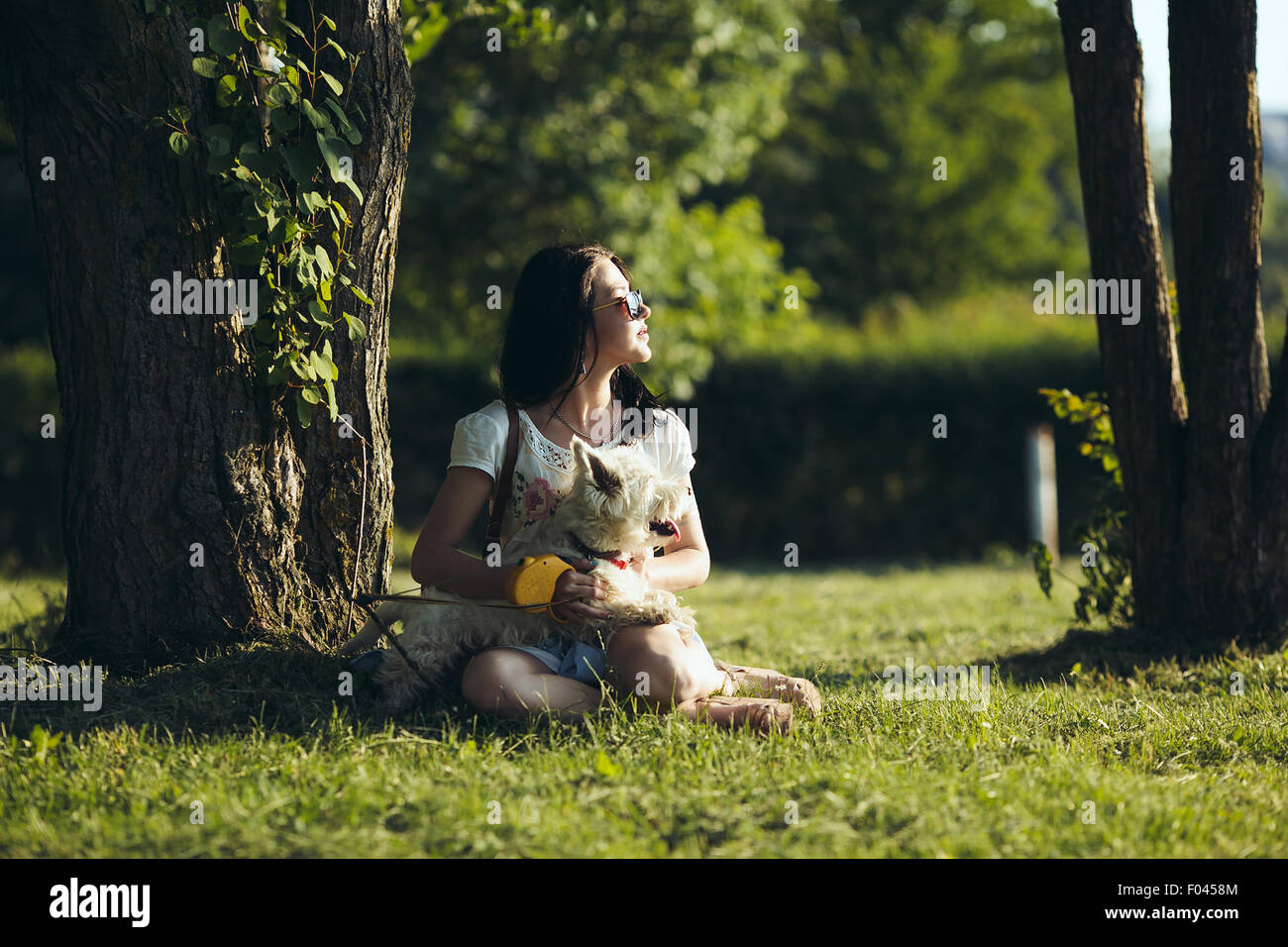 The girl with dog sit on a grass Stock Photo - Alamy