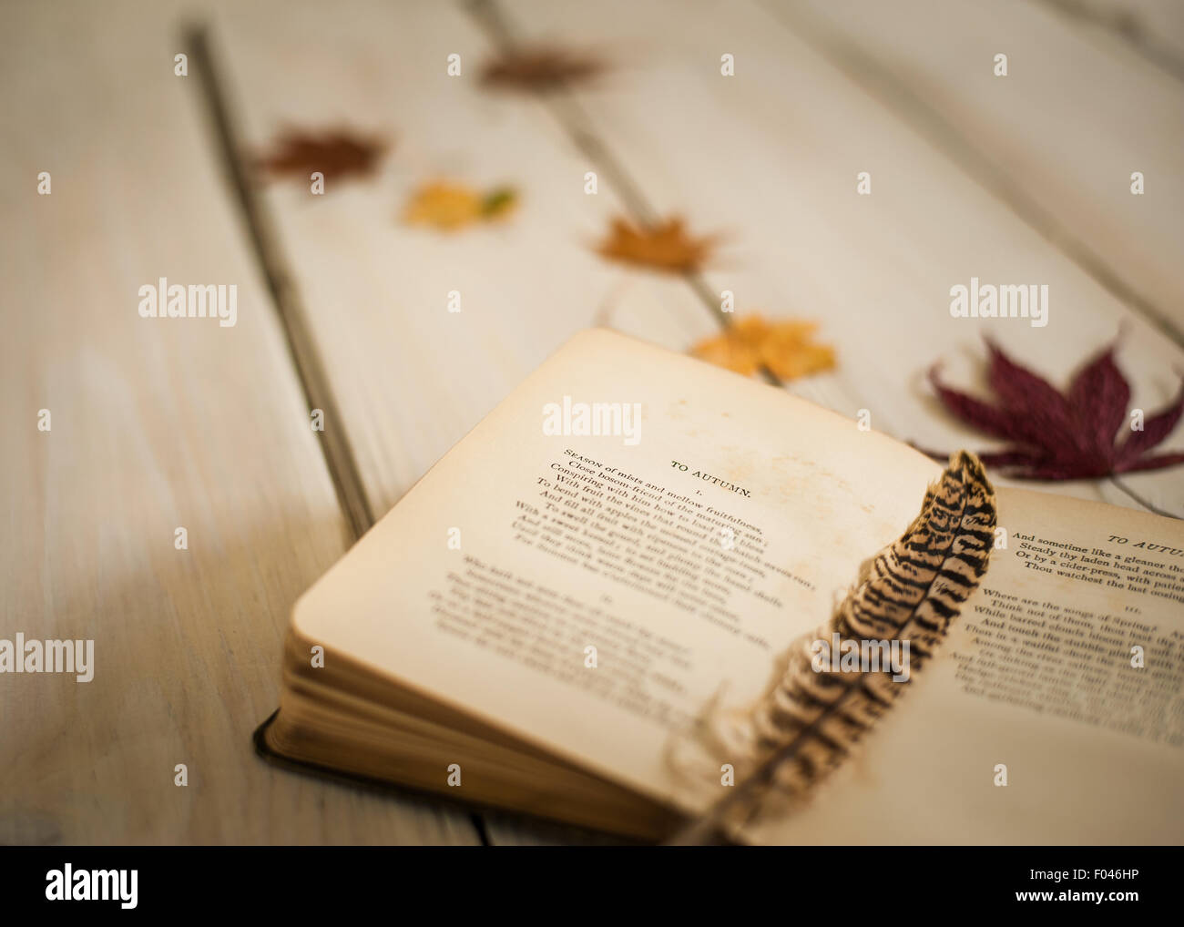 closeup of vintage book of poetry open on ode to Autumn by John Keats, with feather and autumn leaves Stock Photo