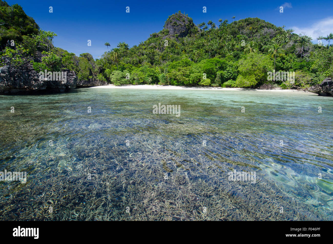 A small white beach fringed by coral reef and surrounded by greenery, Misool area, Raja Ampat, Indonesia, Pacific Ocean Stock Photo