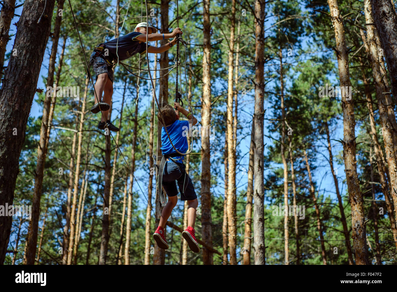 High Ropes Scouts Children tree walking ropes hi-res stock photography and images - Alamy