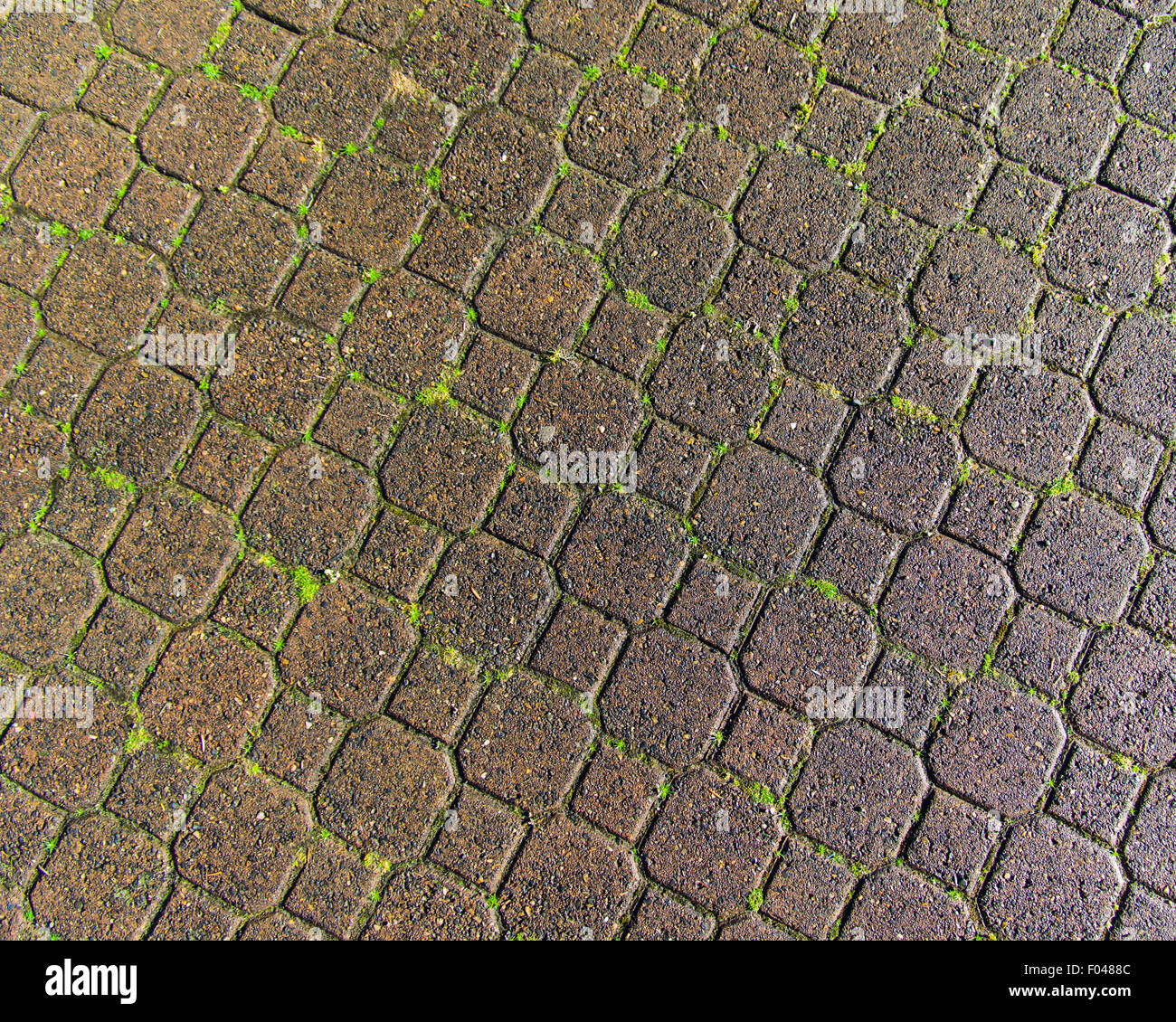 Paver stones form a patterned walk Stock Photo
