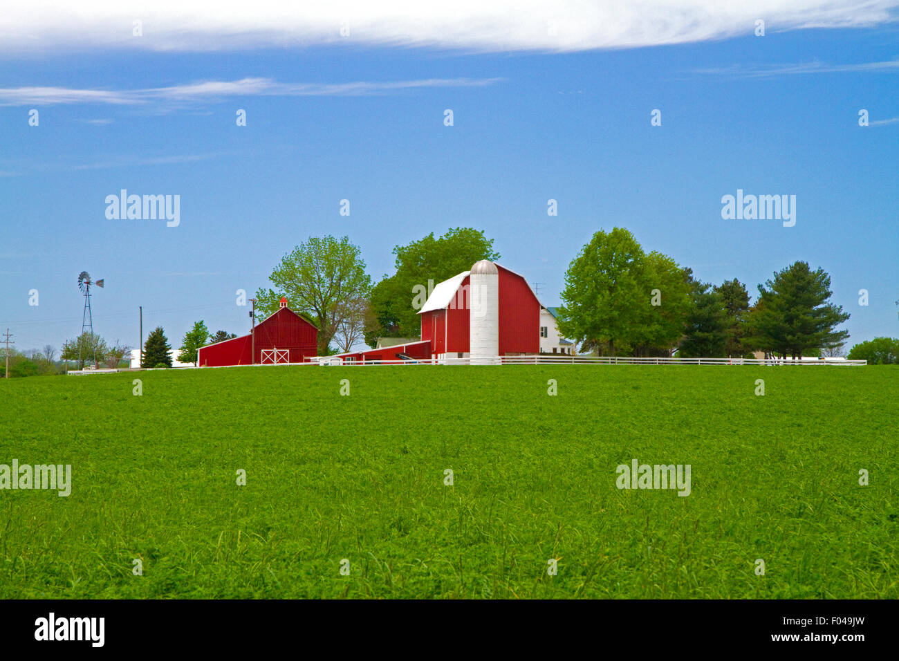 Alfalfa field with red barn and farm house in rural Allegan County, Michigan, USA. Stock Photo