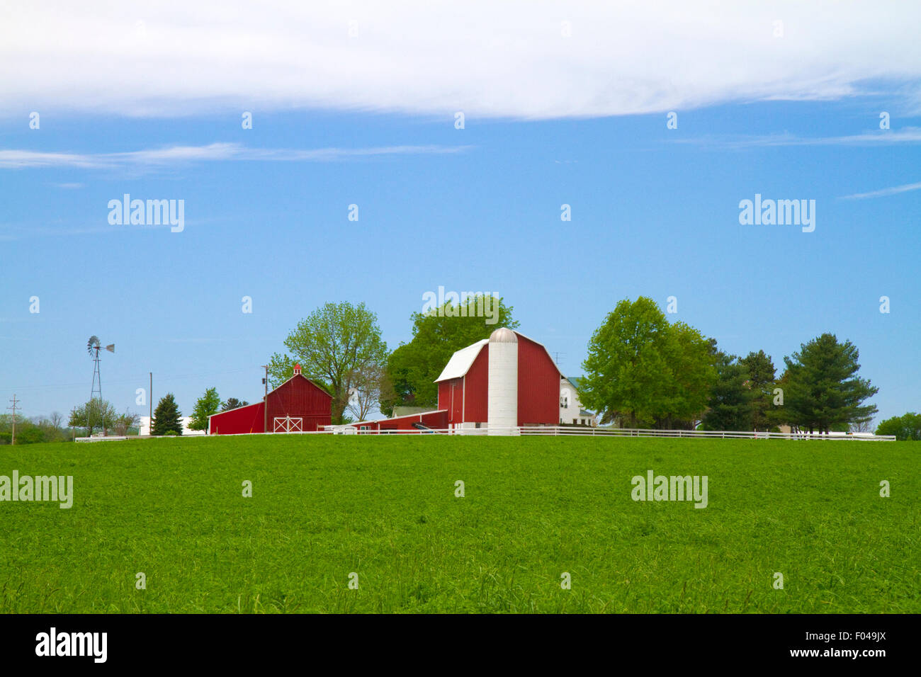 Alfalfa field with red barn and farm house in rural Allegan County, Michigan, USA. Stock Photo