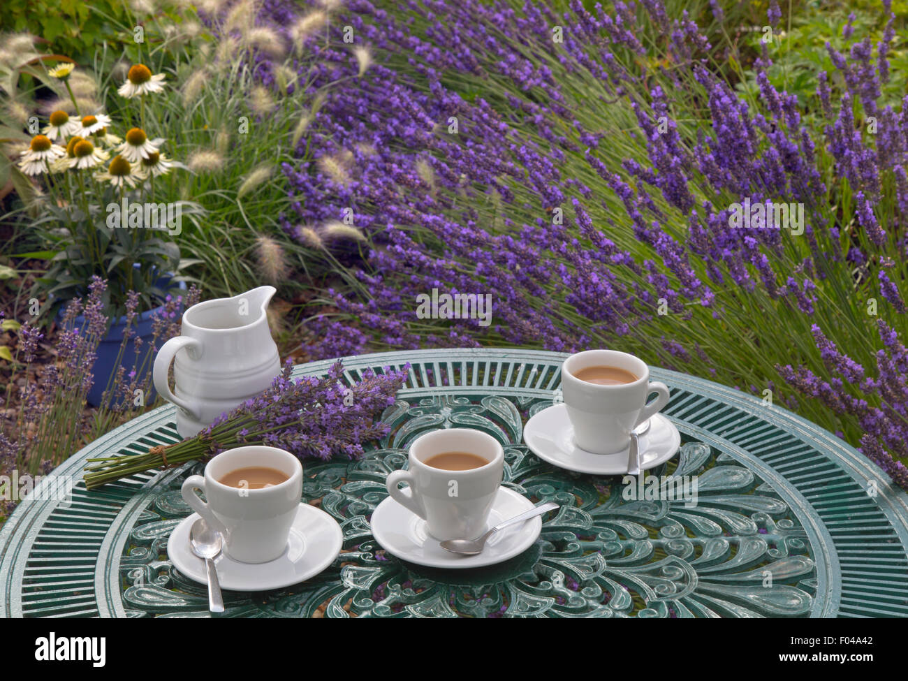 Lavender and morning coffee in garden setting Stock Photo Alamy