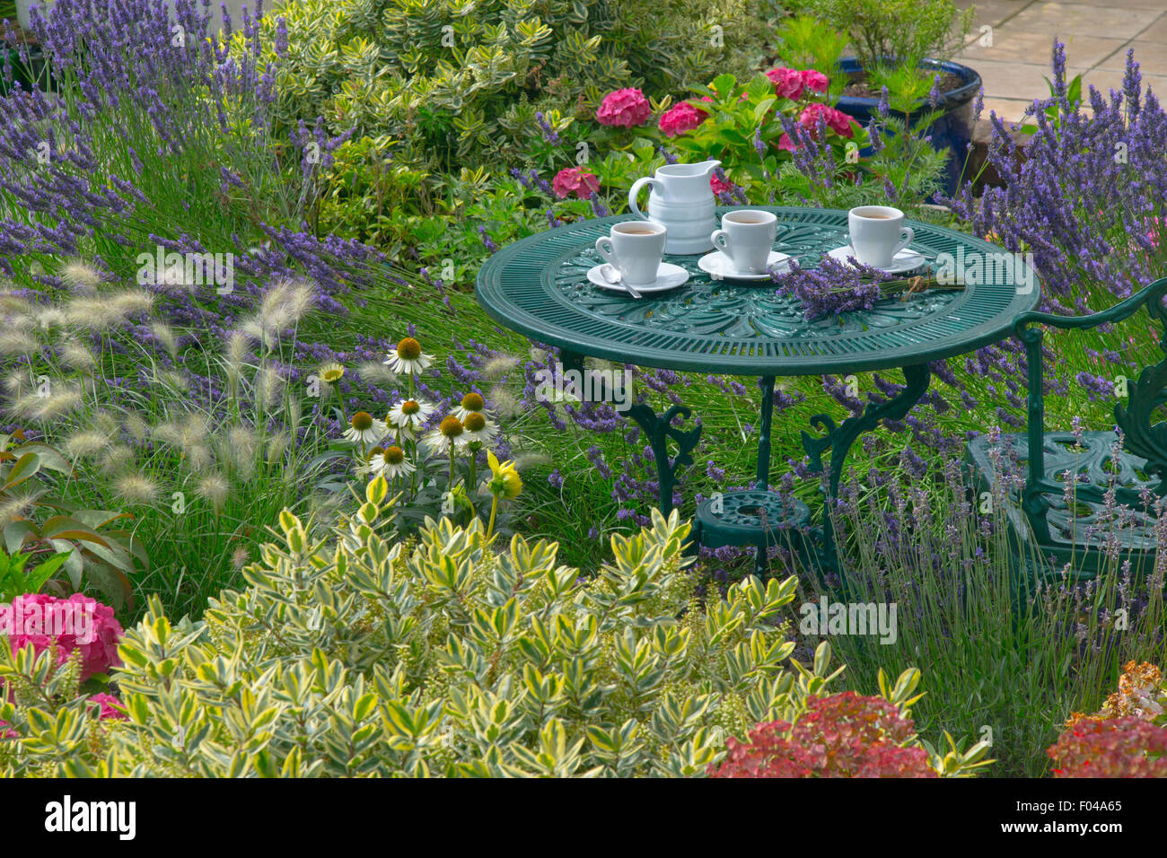 Lavender and morning coffee in garden setting Stock Photo