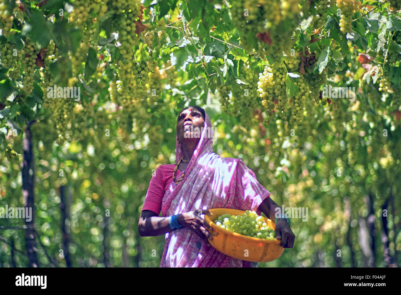 Lvmh champagne hires stock photography and images Alamy