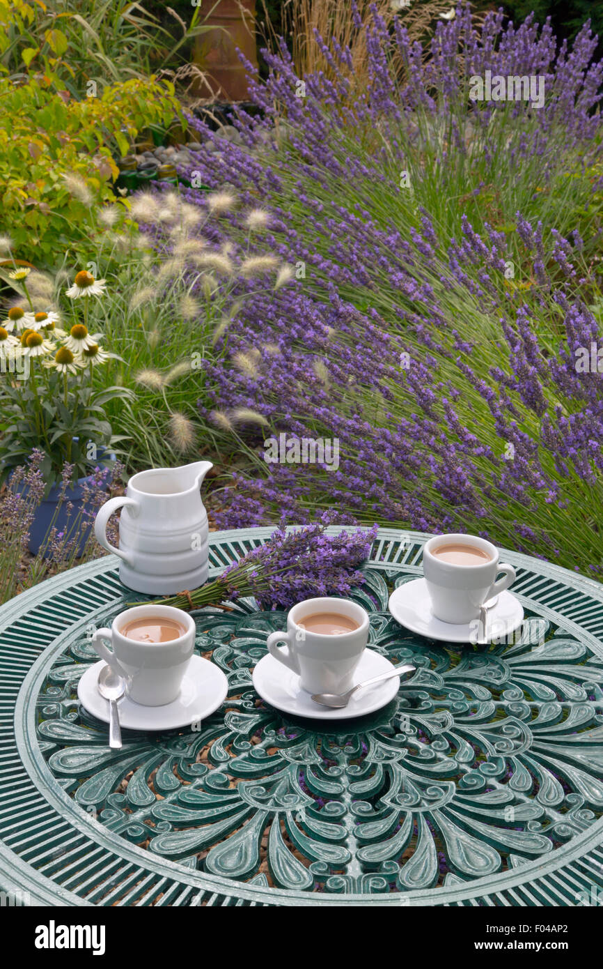 Lavender and morning coffee in garden setting Stock Photo Alamy